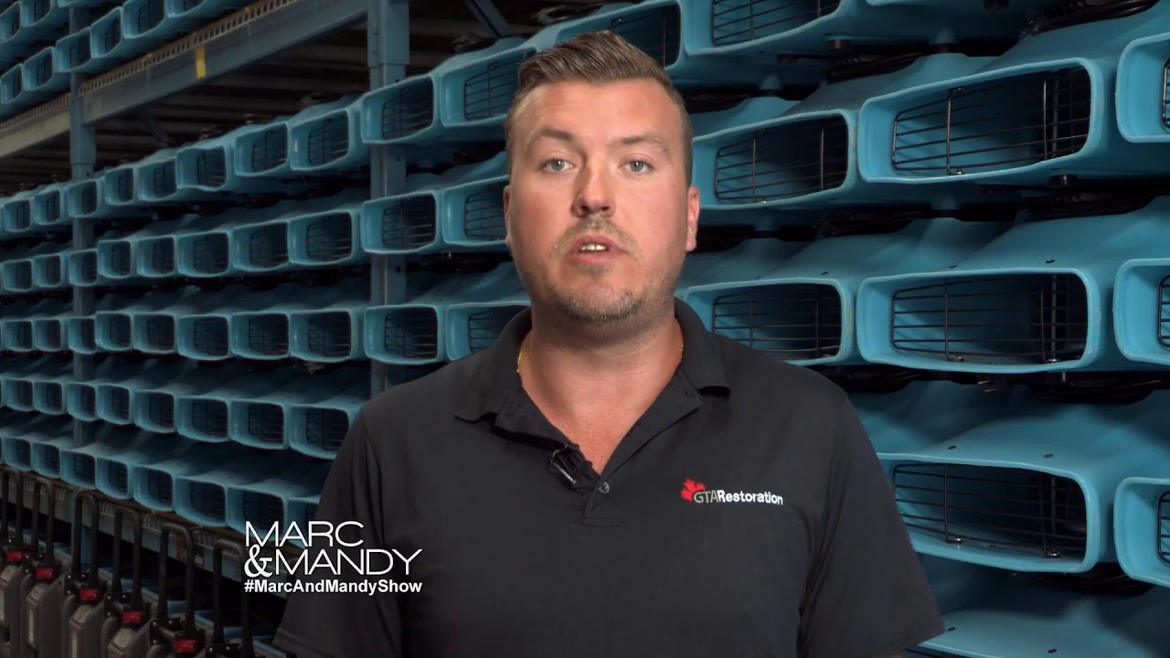 Mold Removal Toronto Video