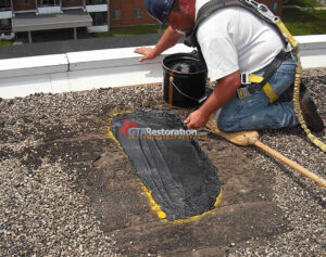 Professional Plumbing Services: A Toronto Homeowner Guide