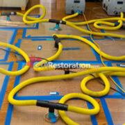 Toronto Specialty Drying Services