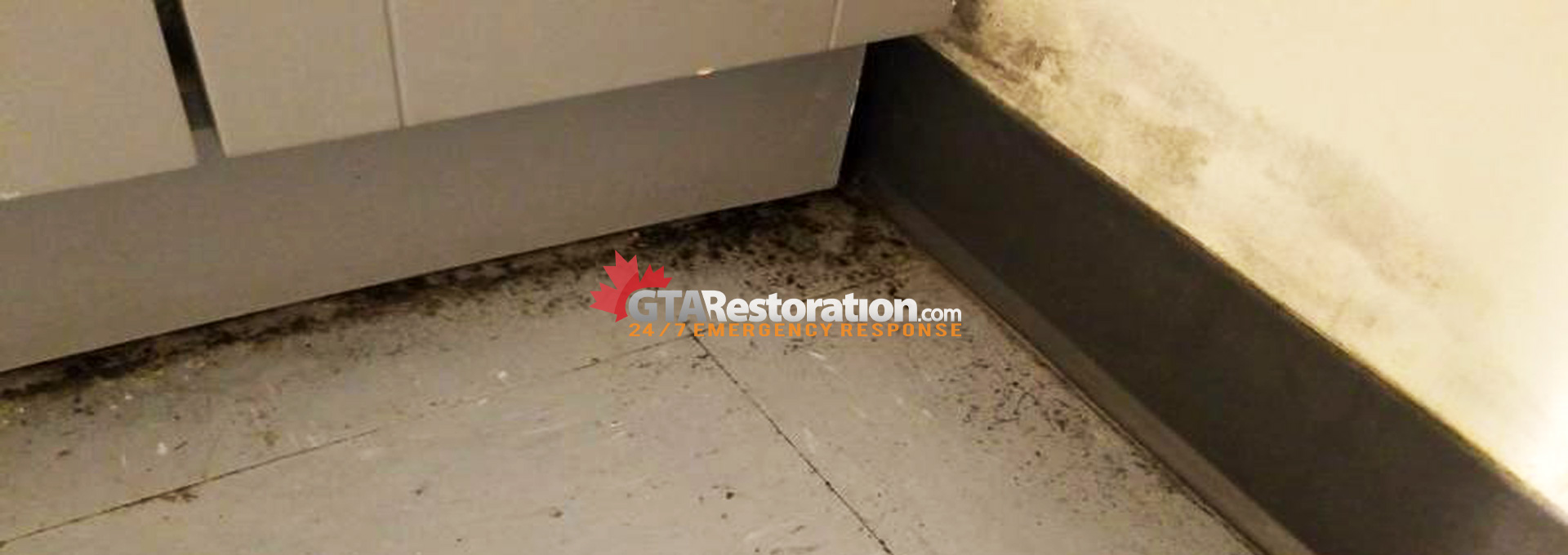 Mold removal scarborough, mold inspection, black mold detection & mold testing, mold remediation service location