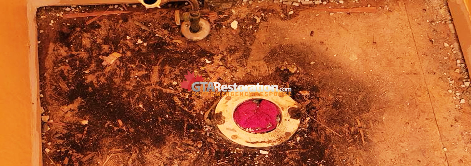 Best mold removal toronto, mold removal mould remediation service locations