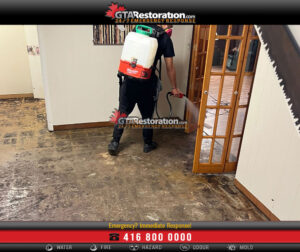 Mold Inspection Testing Removal Kitchener