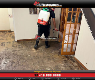 Mold Inspection And Testing For Air Quality