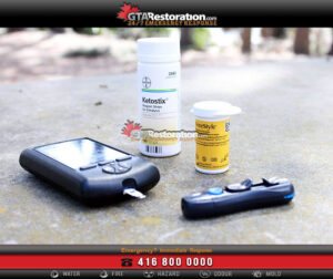 Mold Inspection Testing Removal Mississauga