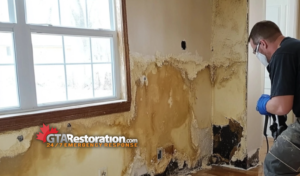 Mold Inspection Testing Removal Oshawa