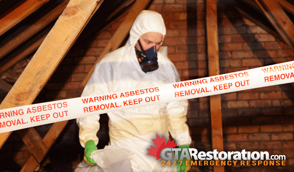 Asbestos removal in burlington