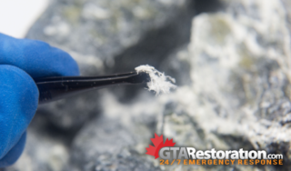 Toronto asbestos removal how it works with gta restoration
