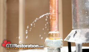 Water Leak Detection Canada
