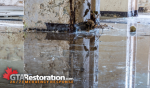 Emergency Flooding in Basement