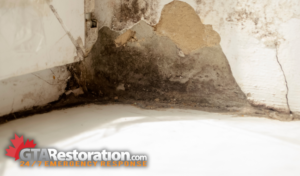 Water Damage Restoration North-York