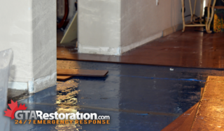 Types Of Water Damage In Home Where Floor Boards Need To Be Replaced