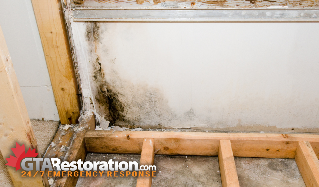 Mold in bathroom behind bathtub that needs to be removed