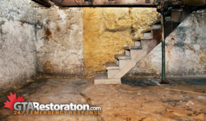 How to Remove the Musty Smell from Your Basement