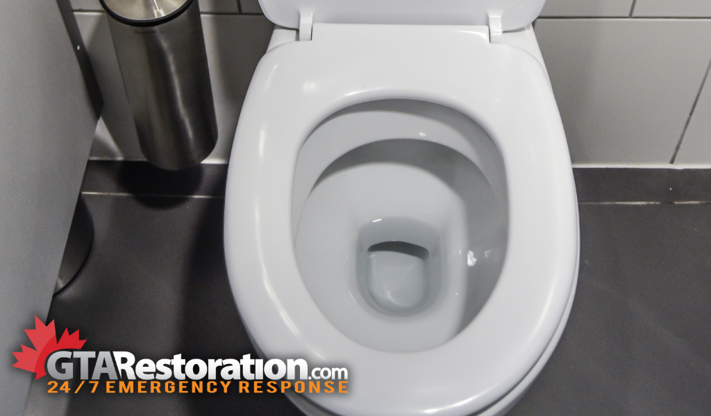 Photograph of a clean toilet in a commercial bathroom after black mold removal