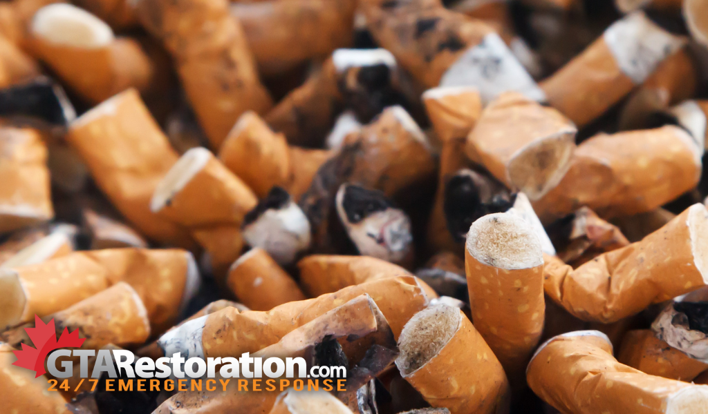 Photograph of cigarette butts that can cause the house to smell