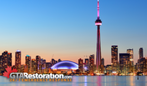 5 Ways To Avoid Mold in Toronto: A Homeowner’s Guide