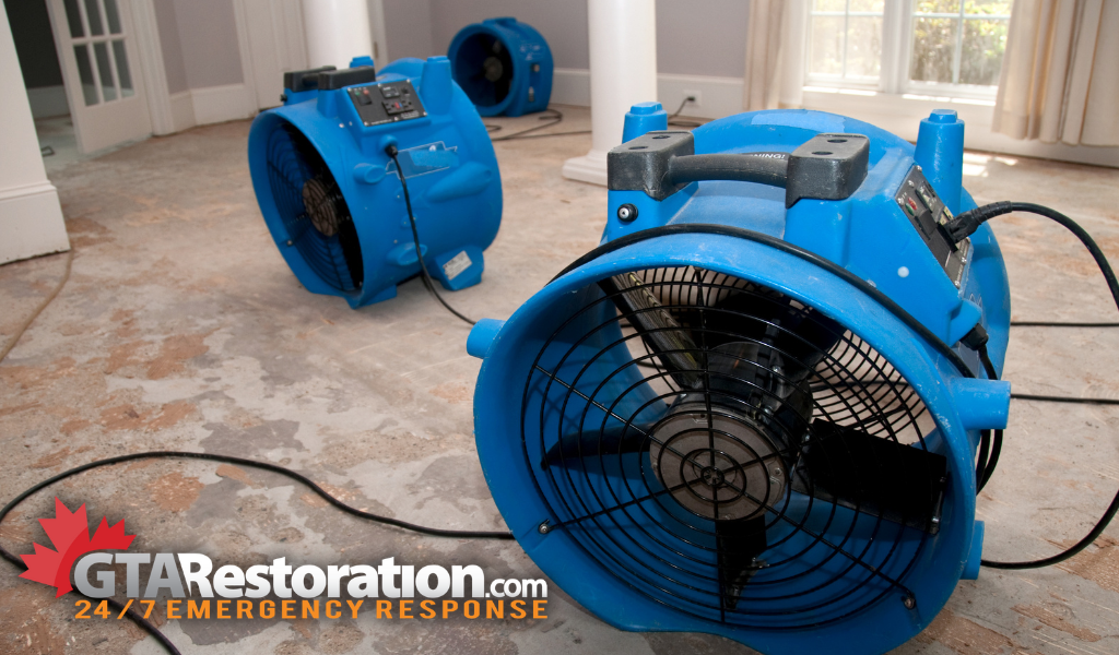 Restoration company cleaning house that smells like sewage