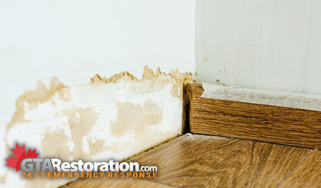 Water damage orleans