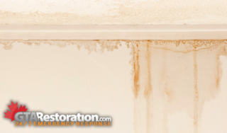 Water Damage On Walls
