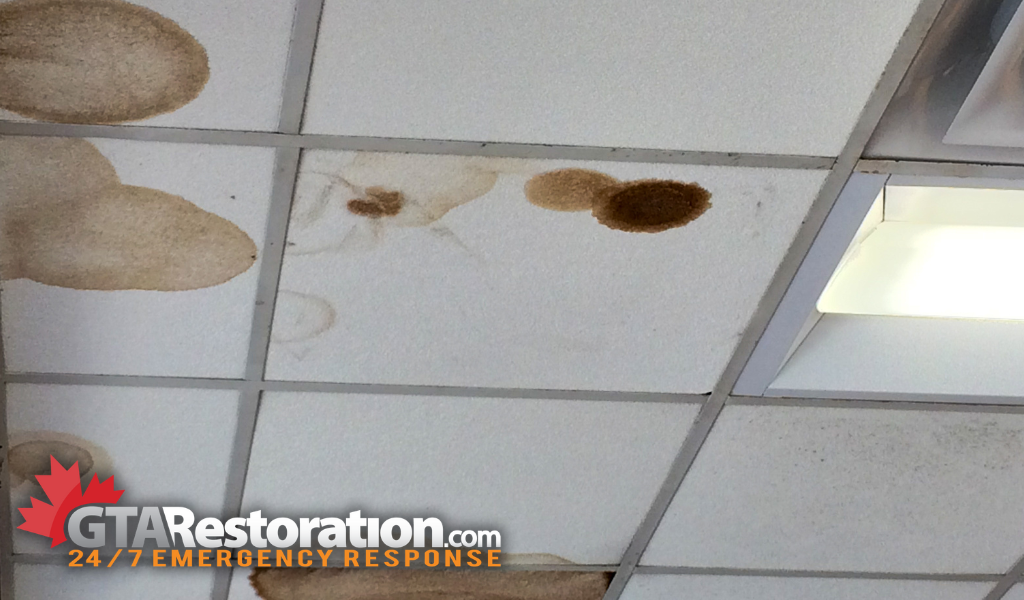 Water stain on ceiling in commercial building that needs water stain damage repair