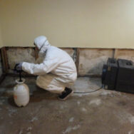 Restoration Pictures Photo Gallery Images (10)