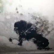 Mold Removal Ste Dorothee Mould Remediation