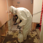 Restoration Pictures Photo Gallery Images (11)