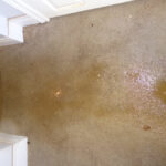Restoration Pictures Photo Gallery Images (118)