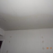Restoration Pictures Photo Gallery Images (123)