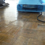 Blue drying equipment on a wet parquet floor.