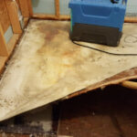 Pulled-back carpet beside a blue dehumidifier.
