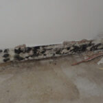Restoration Pictures Photo Gallery Images (15)