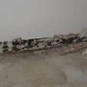 Restoration Pictures Photo Gallery Images (15)