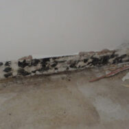 Restoration Pictures Photo Gallery Images (15)