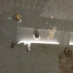 Small pieces of debris floating in standing water.