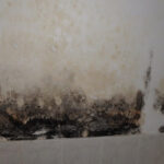 Restoration Pictures Photo Gallery Images (216)