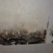 Restoration Pictures Photo Gallery Images (216)