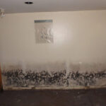 Calgary Mold Removal, Calgary Mold Removal & Mold Remediation Service, Mold Removal Remediation Calgary, mold removal Calgary, mold inspection Calgary, mold cleanup Calgary, mold test Calgary, mold remediation Calgary, mold testing Calgary, mildew removal Calgary, mildew inspection Calgary, mildew cleanup Calgary,