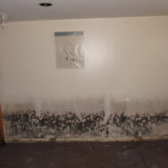 Calgary Mold Removal, Calgary Mold Removal & Mold Remediation Service, Mold Removal Remediation Calgary, mold removal Calgary, mold inspection Calgary, mold cleanup Calgary, mold test Calgary, mold remediation Calgary, mold testing Calgary, mildew removal Calgary, mildew inspection Calgary, mildew cleanup Calgary,