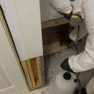 Restoration Pictures Photo Gallery Images (22)