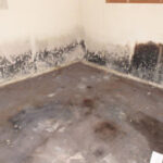 Restoration Pictures Photo Gallery Images (3)