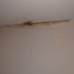 Restoration Pictures Photo Gallery Images (4)