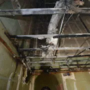 Restoration Pictures Photo Gallery Images (42)