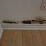 Restoration Pictures Photo Gallery Images (56)