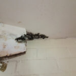 Restoration Pictures Photo Gallery Images (57)