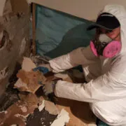 Restoration Pictures Photo Gallery Images (68)