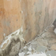 Asbestos Removal