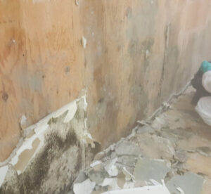 Toronto Asbestos Removal