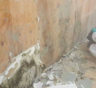 Asbestos removal