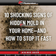Moldy wall with bold text reading '10 Shocking Signs of Hidden Mold in Your Home,